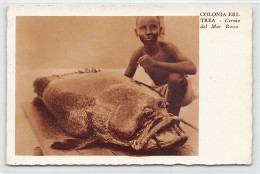 Eritrea - Red Sea Grouper - Publ. Cartoleria A.O. 40 - Eritrea