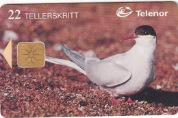 SVALBARD - Arctic Tern, Tirage 16000, 03/98, Used - Svalbard