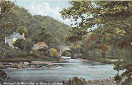 Delcampe - IRELAND - Meeting Of The Waters, Vale Of Ovoca, Wicklow - Wicklow