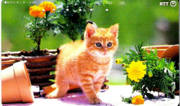 (!) Japan: NTT - 231-201 Cat In Flowergarden Used Phonecard - Cats