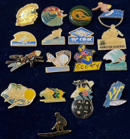 78382-collection De 17 Pin's.Surf. Ski Nautique.Maui. Hawai. - Waterski