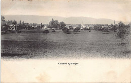 COTTENS (VD) Vue Générale - Ed. Inconnu  - Cottens