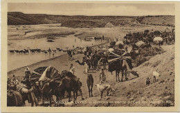 Delcampe - CARTE SCENE ET TYPE -ALGERIE -CARAVANE EN MARCHE DU CAID BEN-GANAH -ANNEE 1935 - Plaatsen