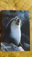 CPM TAAF TERRES AUSTRALES ET ANTARCTIQUES DE FRANCAISES OTARIE D AMSTERDAM MALE  PHOTO A FATRAS ED LABOUREUR N° 42 - TAAF : Franse Zuidpoolgewesten