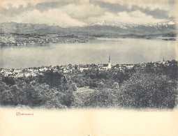 WÄDENSWEIL (ZH) Total Ansicht - Doppelkarte - Verlag Unbekannt  - Wädenswil