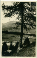 PARPAN GR Panorama Feldpost J.R.S. (pz1224) - Parpan
