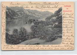 Schweiz - ISELTWALD (BE) Relief Postkarte - Verlag F. Voege - Iseltwald