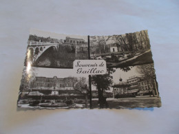 Delcampe - SOUVENIR DE GAILLAC ( 81 Tarn ) VUE GENERALE JARDIN ANGLAIS PAVILLON DANS PARC CHATEAU PARC PLACE LIBERATION KIOSQUE - Gaillac