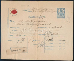 1878 Szállítólevél 5kr Díjjegyes Okmánybélyeggel és Szép Vízjellel, "BUDAPEST-VÁR" - Neusohl - Other & Unclassified