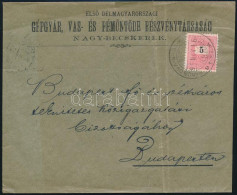 1895 5kr Levélen, "PANCSOVA-NAGY-KIKINDA / 91. SZ. A" Mozgóposta Bélyegzéssel Budapestre - Other & Unclassified