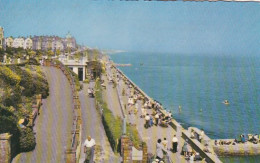 CLACTON ON SEA, PROMENADE - ESSEX - Unused Postcard - VINTAGE - Clacton On Sea