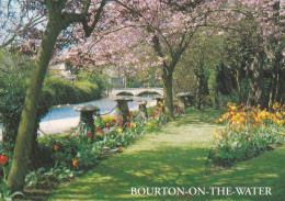 BOURTON ON THE WATER - GLOUCESTERSHIRE - Unused Postcard - - Cheltenham