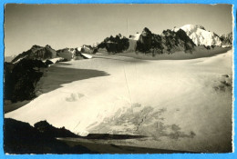 COV1321, Plateau Du Trient, Les Darreys, Aiguilles Dorées, Aiguille D'Argentière, 9033, E. Gyger, Non Circulée - Trient