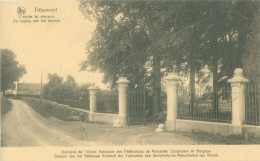 Delcampe - Tribomont; L'entrée Du Domaine - Non Voyagé. (Thill - Bruxelles) - Pepinster