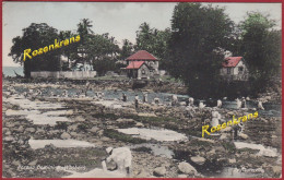 Old Postcard Roseau Dominica Washers By Masterville Caribbean Sea Caraïbes Lesser Antilles Antillen West Indies British - Dominica