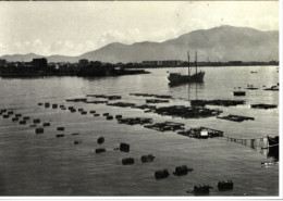 Delcampe - X3323) TORRE ANNUNZIATA NAPOLI  CARTOLINA NON VIAGGIATA - Torre Annunziata