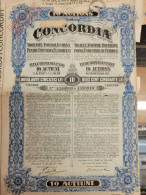 Concordia - A - C