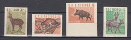 Delcampe - Albania 1962,4V In Set,IMPERF,deer,hert,lynx,porc,varken,steenbok, MNH/Postfris(A5040) - Wild