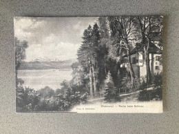 Wadenswil Partie Beim Schloss Carte Postale Postcard - Wädenswil