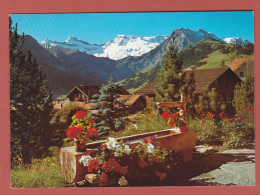 Delcampe - CP EUROPE SUISSE ADELBODEN 9 - Adelboden