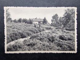 CP BELGIQUE (V1802 ) CHAUMONT GISTOUX (2 Vues) Les Bruyères De Hurle Vent - Chaumont-Gistoux