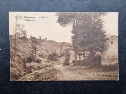 CP BELGIQUE (V1802 ) CHAUMONT GISTOUX (2 Vues) Les Tiennes - Chaumont-Gistoux