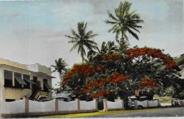 CPSM Semi Moderne Nouvelle Calédonie Océanie Calédonia Non Circulé Nouméa - New Caledonia