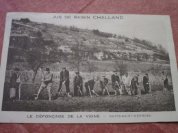 Delcampe - Jus De Raisin CHALLAND - Le Défonçage De La Vigne - Nuits Saint Georges