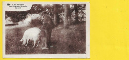 Cochon Chercheur De Truffes Et Son Maitre () Dordogne (24) - Sonstige & Ohne Zuordnung