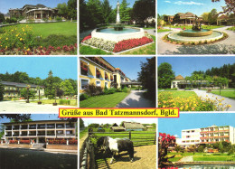 BAD TATZMANNSDORF, FOUNTAIN, PARK, FARM, HORSE, PONEY, CAR, POSTCARD, AUSTRIA - Oberwart