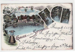 39021399 - Lehde Im Spreewald, Lithographie Gasthaus Zum Froehlichen Hecht, Wasserlauf, Dolzkefliess, Waldpartie Spreew - Grossräschen