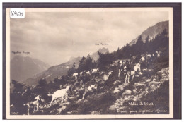 VALLEE DU TRIENT - LES CHEVRES - TB - Trient