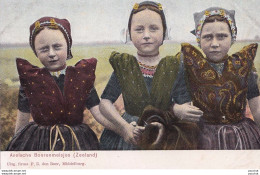 F5- AXELSCHE  BOERENMEISJES - NEDERLAND  - FILLETTES NEERLANDAISES EN TENUES TRADITIONNELLES - ( 2 SCANS ) - Axel