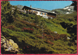 AK: Telfes - Tulfein Alm, Gelaufen 1977 (Nr. 2235) - Telfs