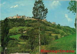 Delcampe - MONTEGRIMANO - PANORAMA   (PU) - Pesaro