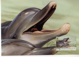 Carte Premier Jour, Timbre  Spotted Bottlenose Dolphin, Dauphin, Illustrateur Ego Guiotto - Delphine