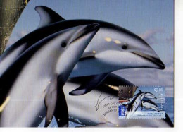 Carte Premier Jour, Timbre  Dusky Dolphin, Dauphin, Illustrateur  Ego Guiotto - Delphine