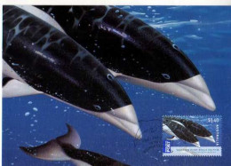 Carte Premier Jour, Timbre Southern Right Whale  Dolphin, Dauphin, Illustrateur  Ego Guiotto - Delphine