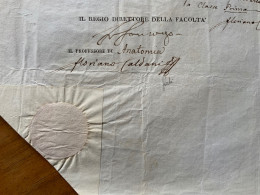 AUTOGRAFI SCIENZIATI  FLORIANO CALDANI (Bologna,1772 - PADOVA 1836) E F.LUIGI FANZAGO(PADOVA,1764-1836)-:v.NOTA In Rosso - Inventors & Scientists