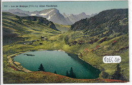 VD- LAC DE BRETAYE- ALPES VAUDOISES - Bretaye