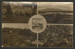 Real Photo Postcard Falkland Islands W 4 Mini Panoramic Views & Shield - Falkland Islands
