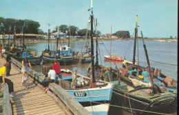 Delcampe - LE CROTOY LE PORT - Le Crotoy