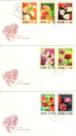 FDC 1988 - FDC