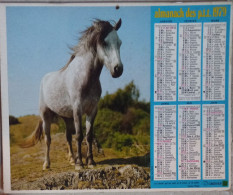 Calendrier Oberthur 1979, Cheval Et Concours Hippique (265 X 210 Mm) - Big : 1971-80