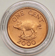 BERMUDA - 1 Cent 2000, KM# 107 (#7168) - Bermuda