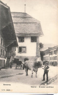 [-5%] SUISSE - Saanen - Gessenay - Grosses Landhaus - Maison - Calèche - Rue - Taureau - Animé - CPN - Carte Postale Anc - Gessenay