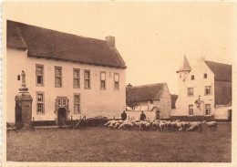 [-5%] MUSEE - St Trond - Le Béguinage - Un Coin De L'intérieur Du Béguinage - Ern. Thill - Carte Postale Ancienne - Museen