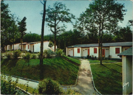 Delcampe - CPM Dourdan Les Pavillons (20560) - Dourdan