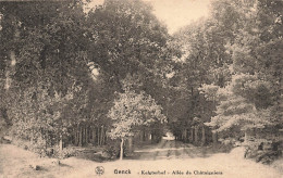 [-5%] BELGIQUE - Genck Kelgterhof - Allée De Châtaigniers - Maison Stulens - Carte Postale Ancienne - Genk
