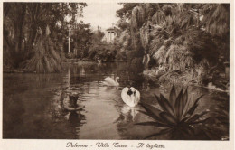 Delcampe - PALERMO - VILLA TOSCA - IL LAGHETTO - F.P. - Palermo